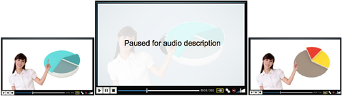 A webpage sample containing a video recording pausing to provide an extended audio explanation. A webpage sample containing a video recording pausing to provide an extended audio explanation.