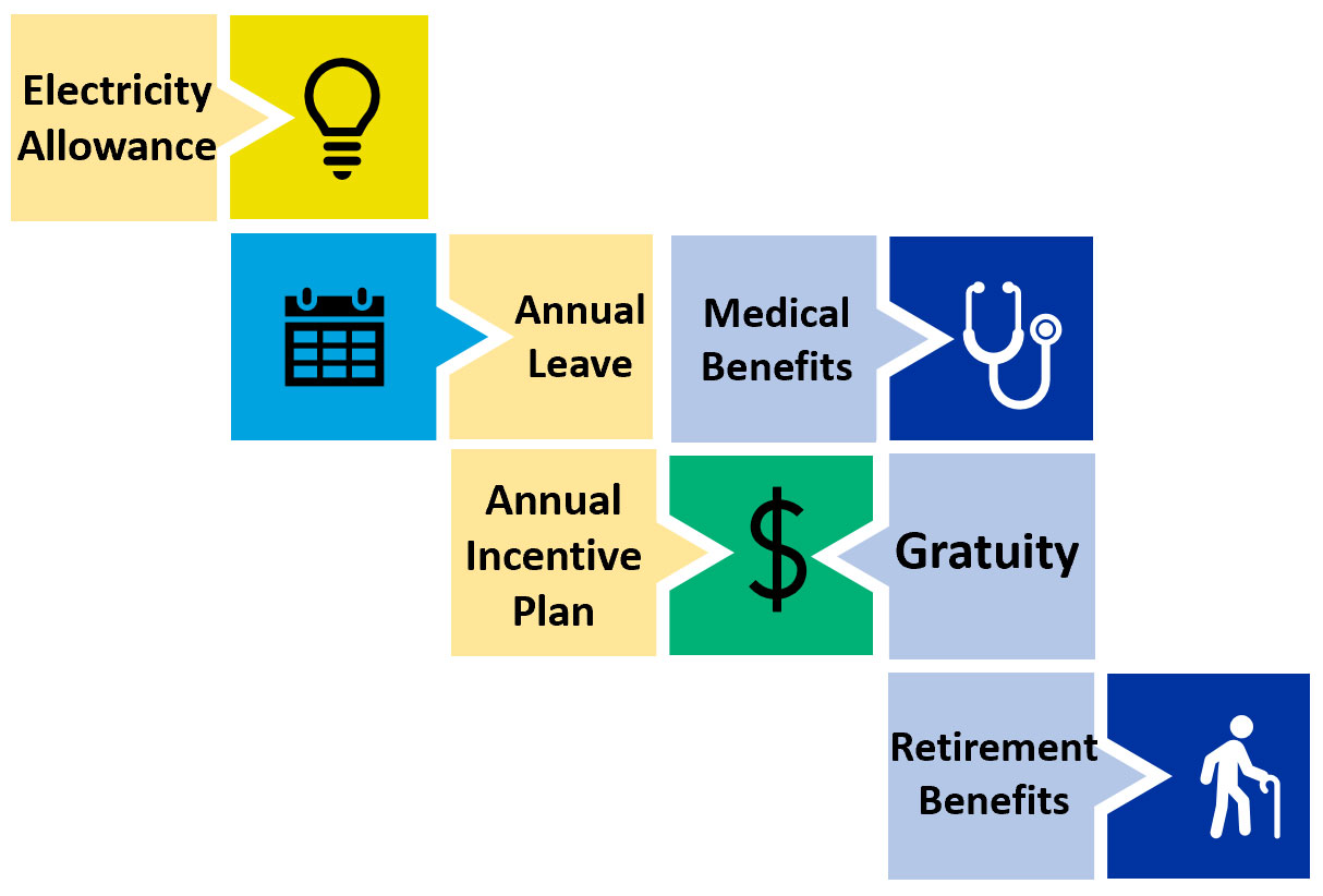 Allowances: The company provides different kinds of allowance to its employees which include Electricity Allowance, Annual Leave, Medical Benefits, Fringe Benefits, Annual Incentive Plan, Gratuity and Retirement Benefits.