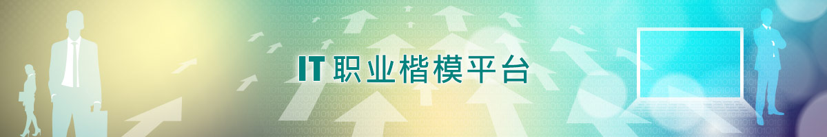 Icon for IT职业楷模平台